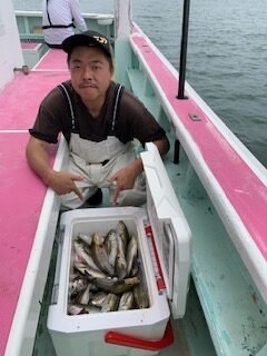 アジ(マアジ)・イサキ