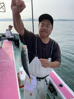 アジ(マアジ)