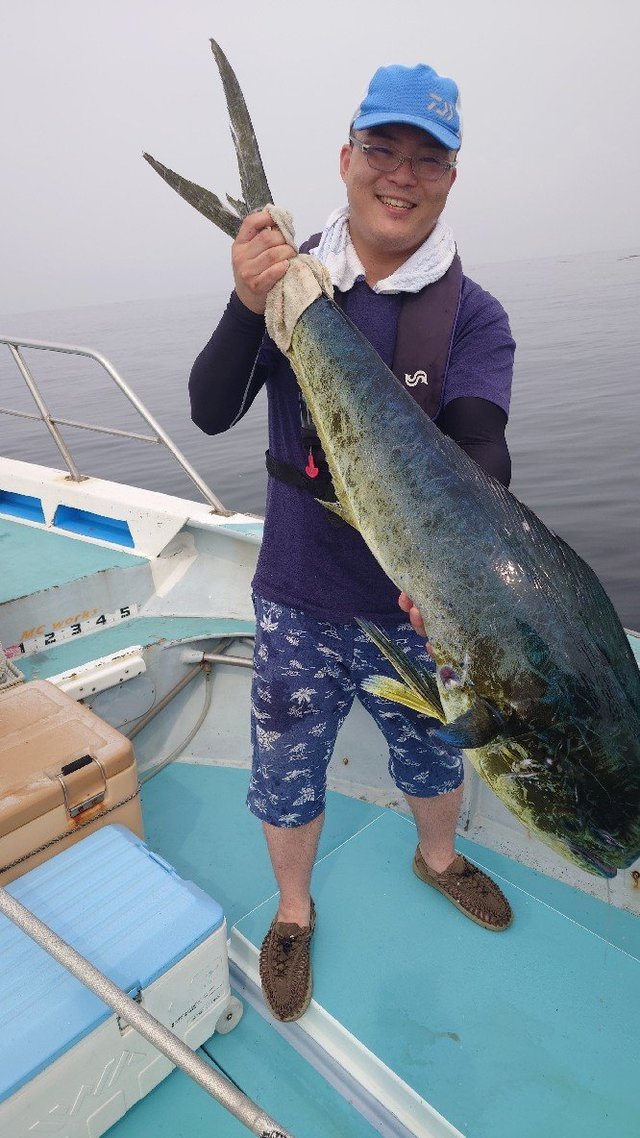 シイラ
