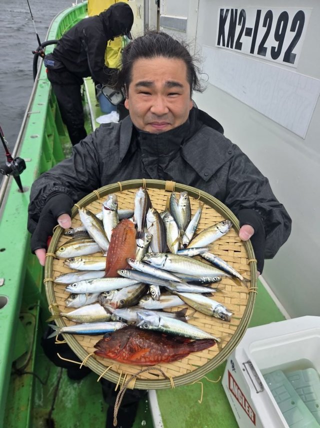 アジ(マアジ)・イサキ