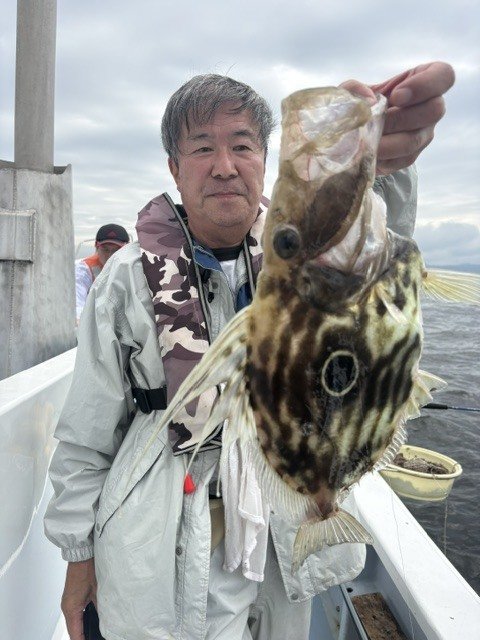 マトウダイ
