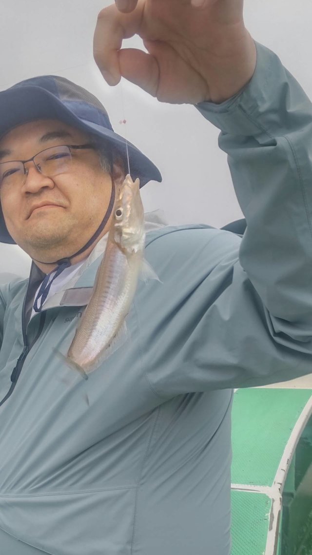 シロギス