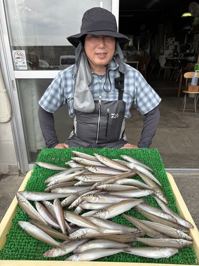 シロギス