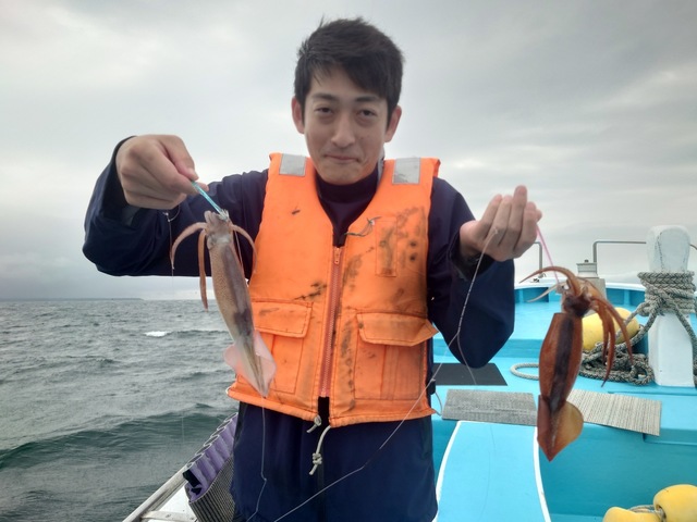 スルメイカ