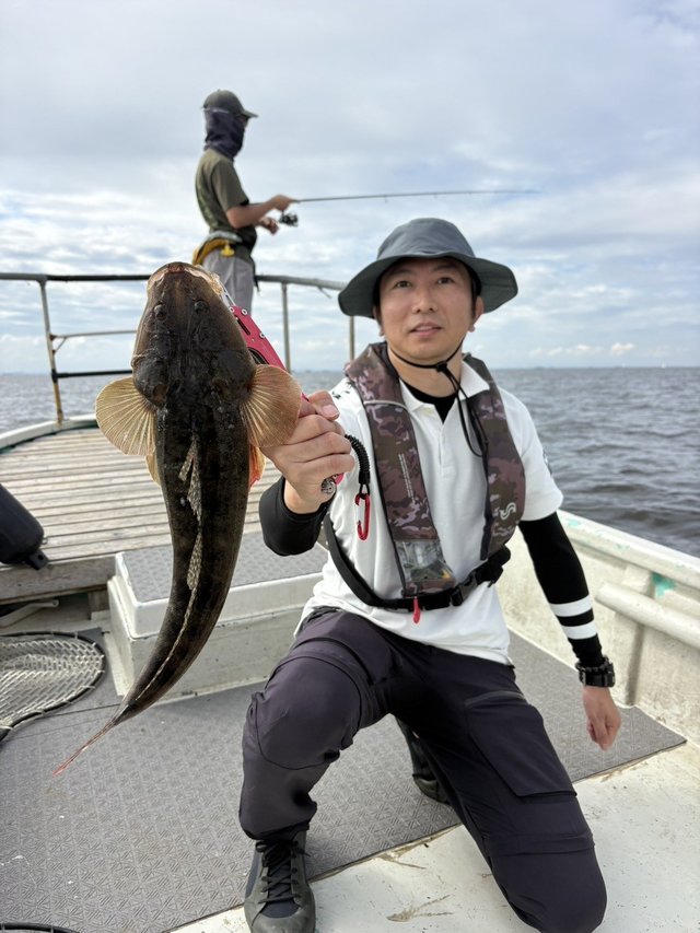 マゴチ