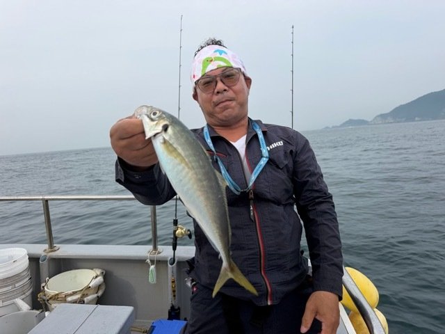 アジ(マアジ)