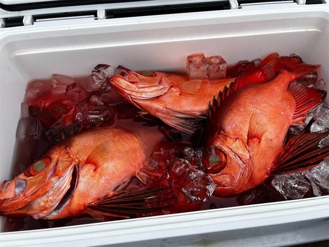 チカメキントキ