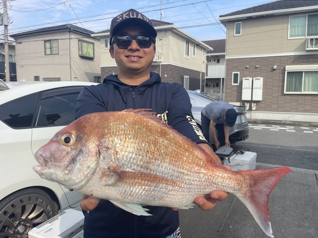 マダイ