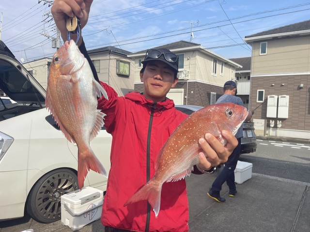 マダイ