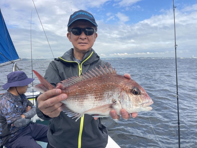マダイ
