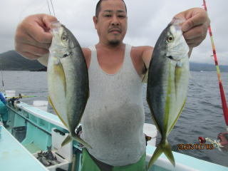 シマアジ