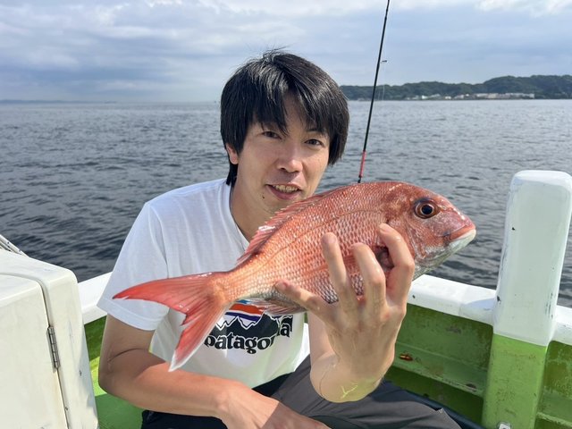 マダイ