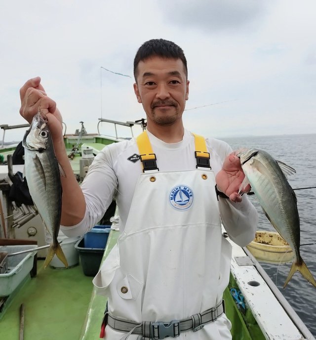 アジ(マアジ)