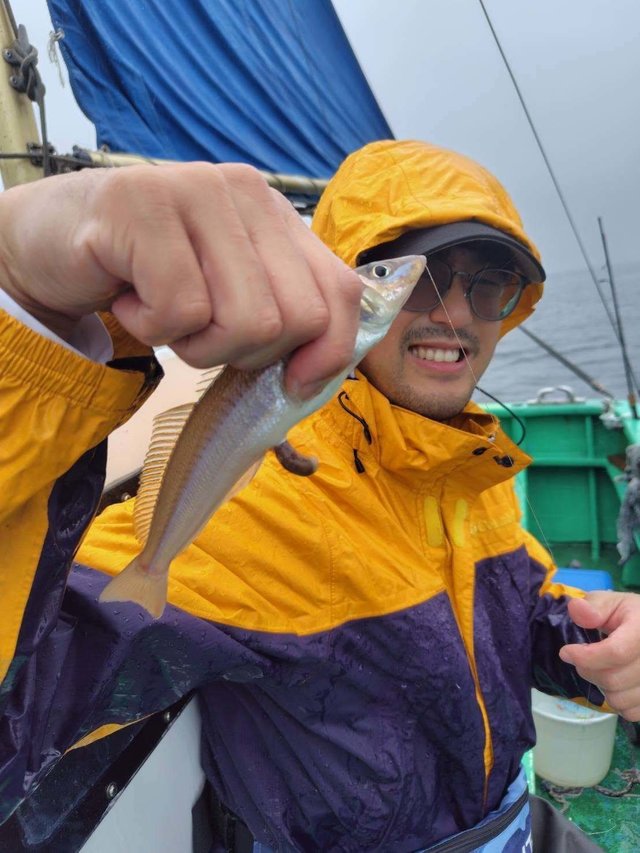 シロギス