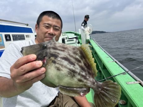 カワハギ
