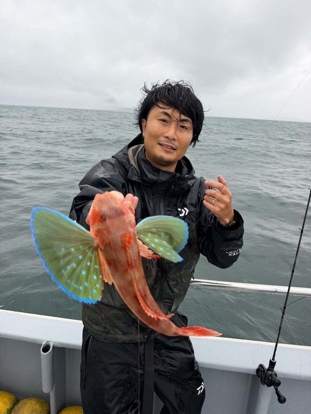 ホウボウ