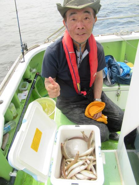 シロギス