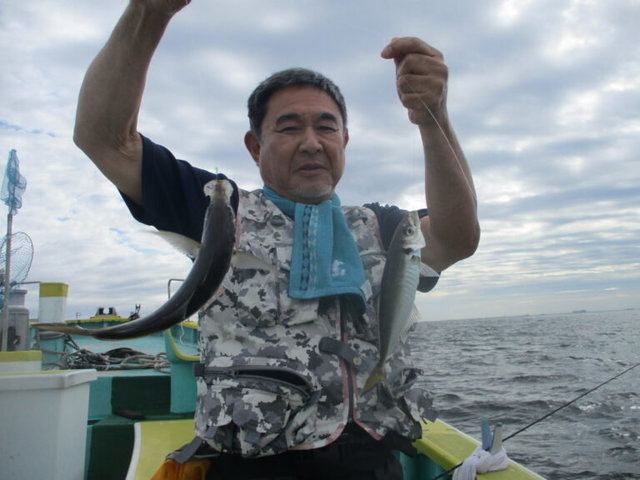 アジ(マアジ)