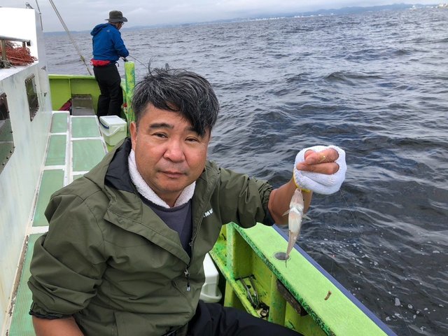 シロギス