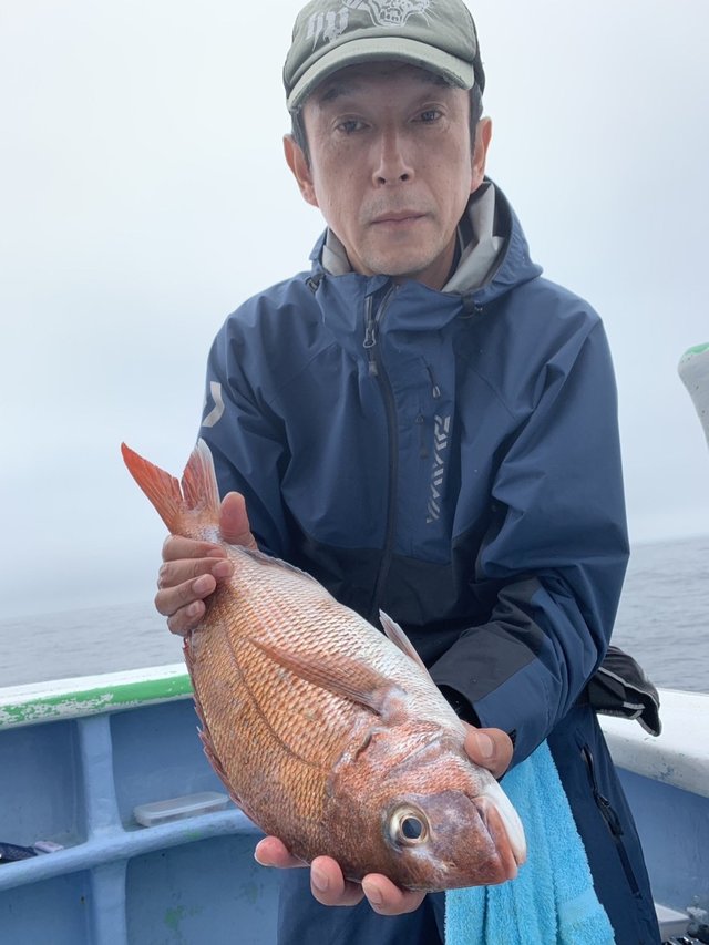 マダイ
