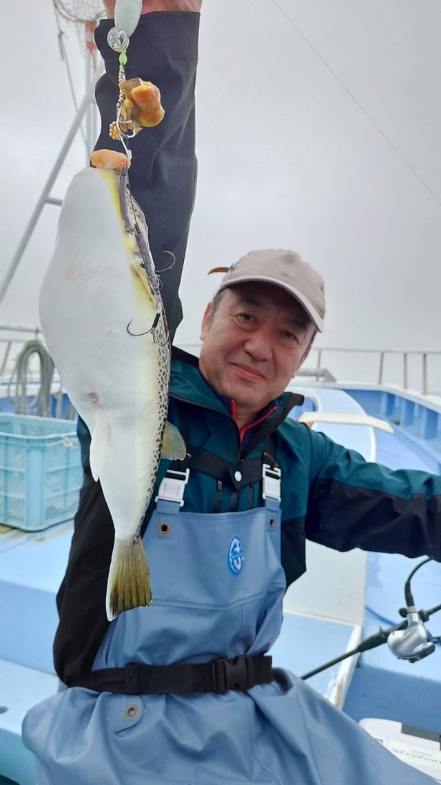 ショウサイフグ