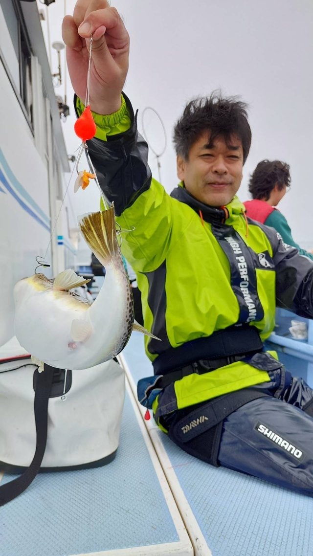 ショウサイフグ