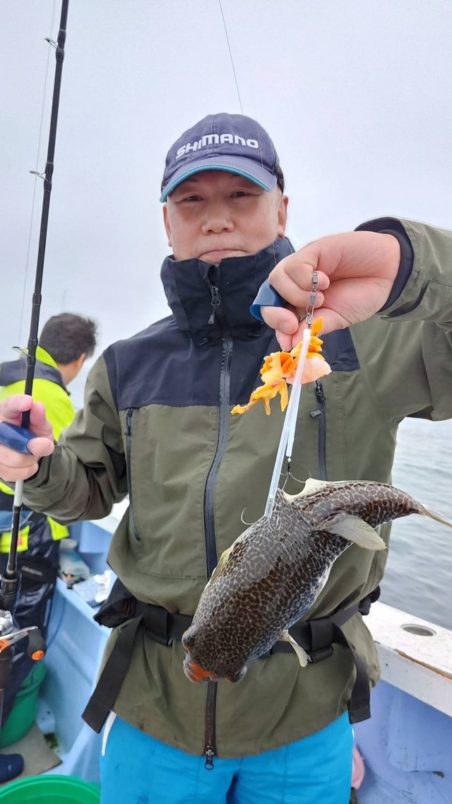 ショウサイフグ