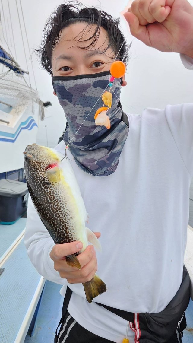 ショウサイフグ