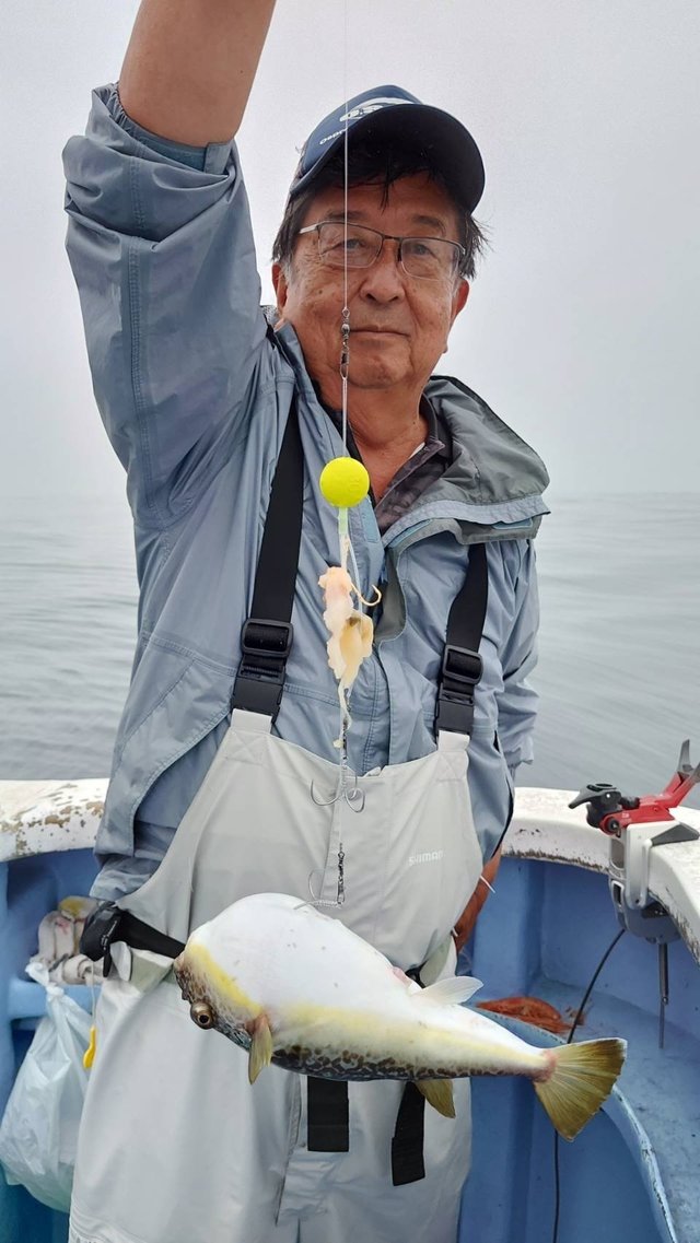ショウサイフグ