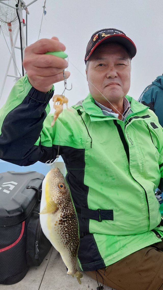 ショウサイフグ