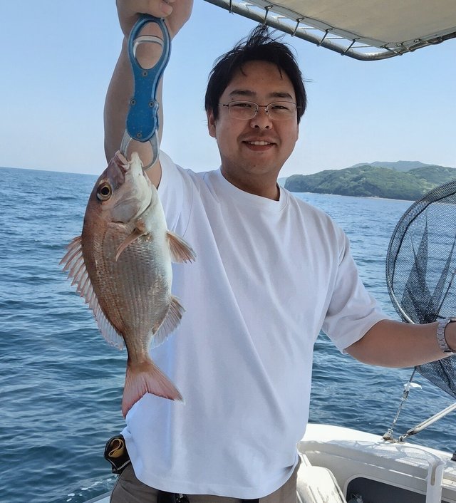 マダイ