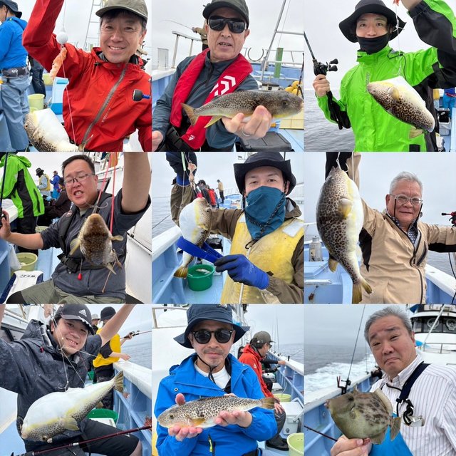 ショウサイフグ