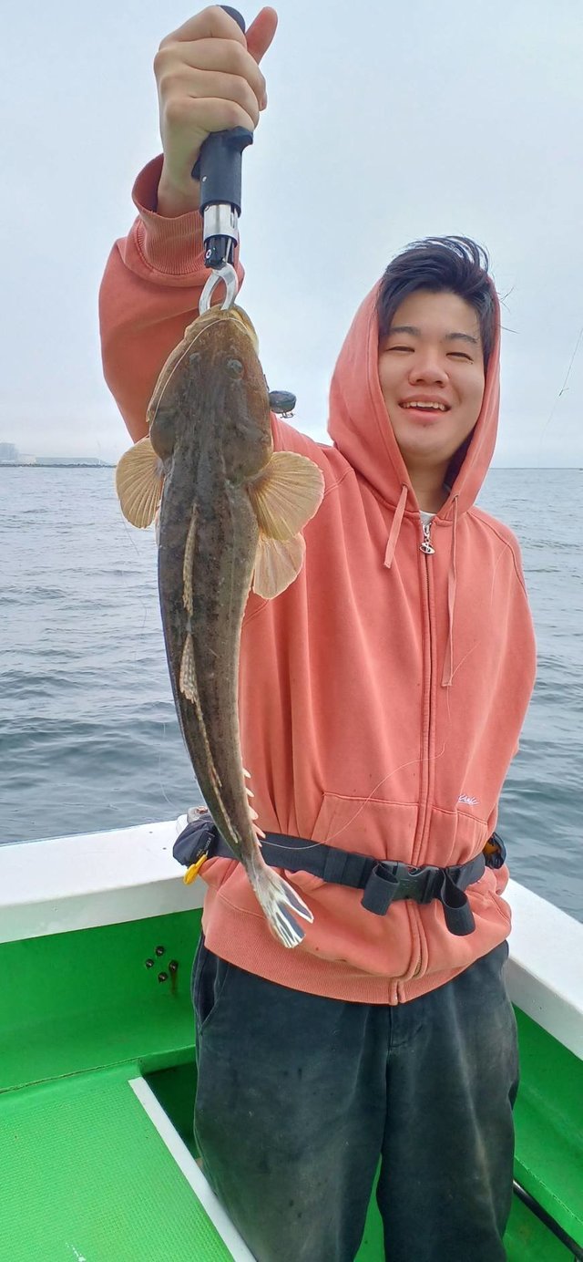 マゴチ