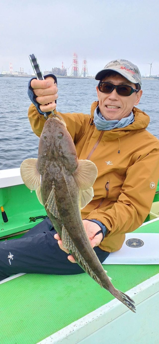マゴチ