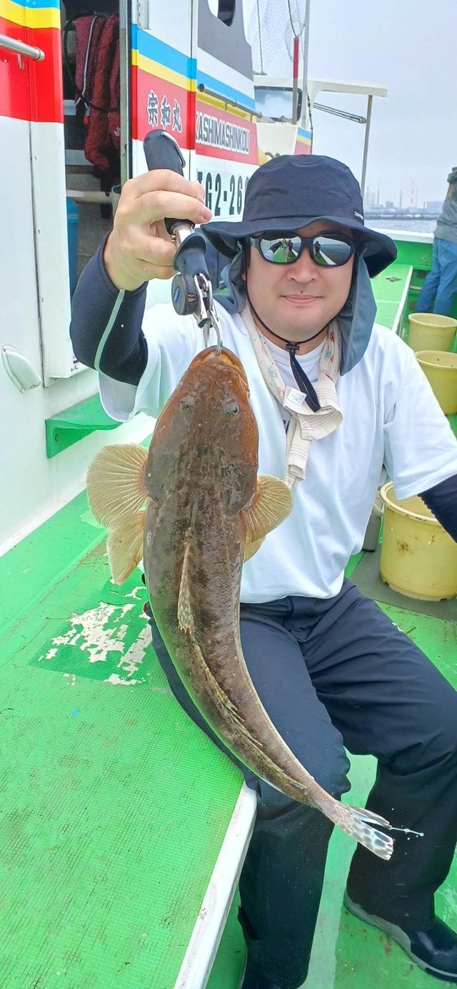 マゴチ