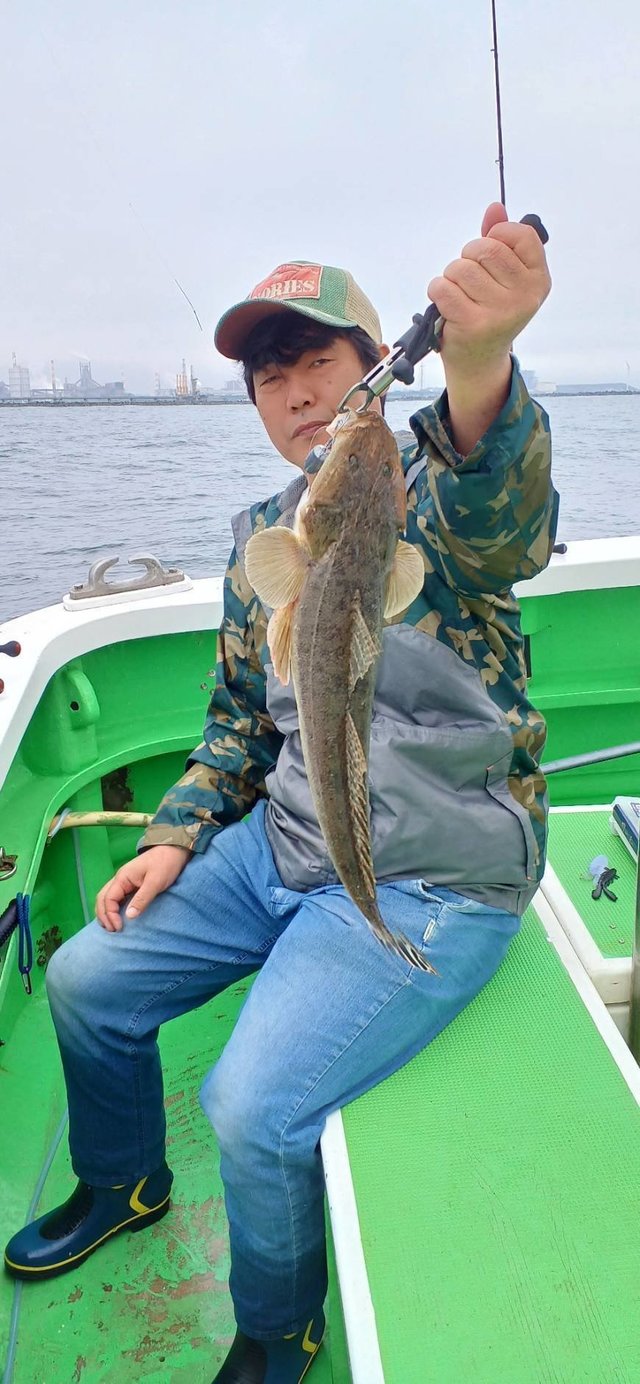 マゴチ