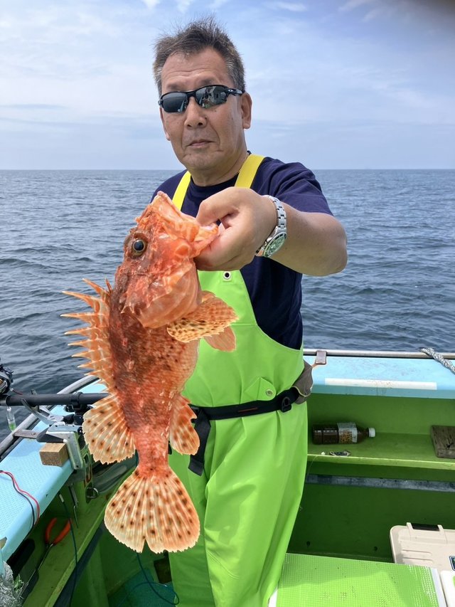 オニカサゴ