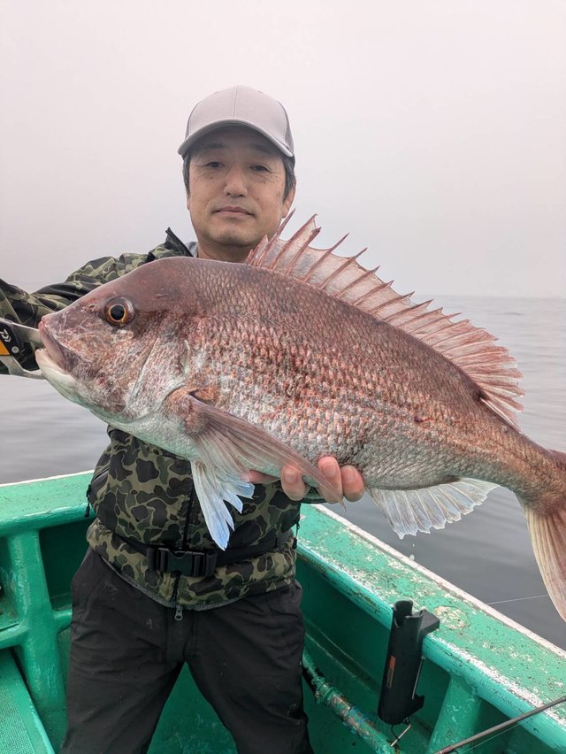 マダイ