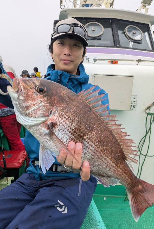 マダイ