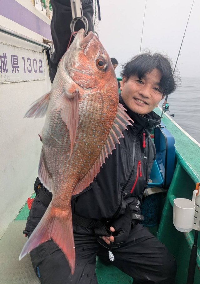 マダイ