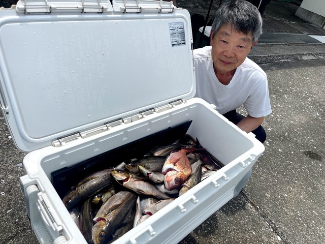 イサキ