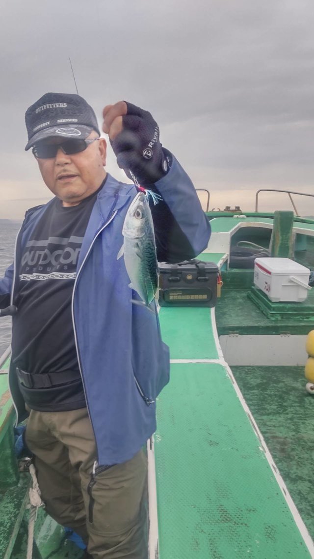 サバ(マサバ)