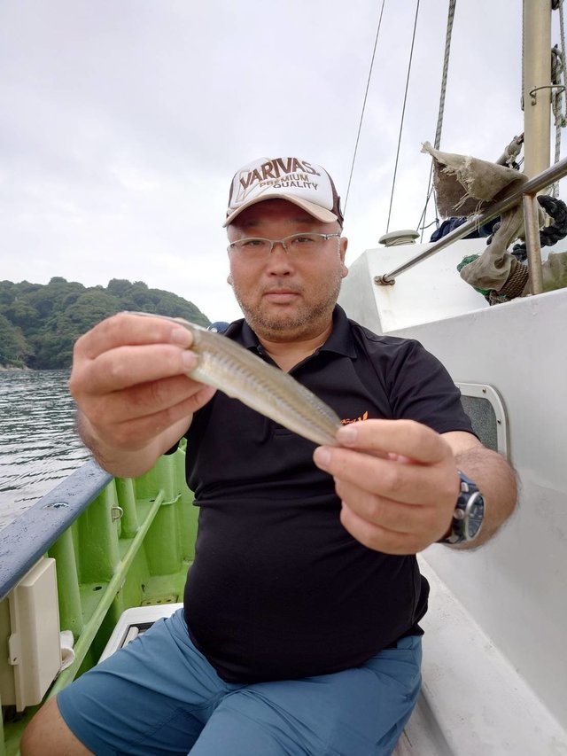 シロギス
