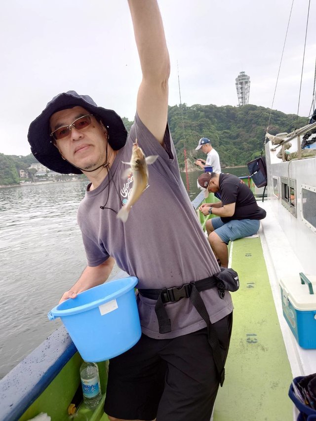 シロギス