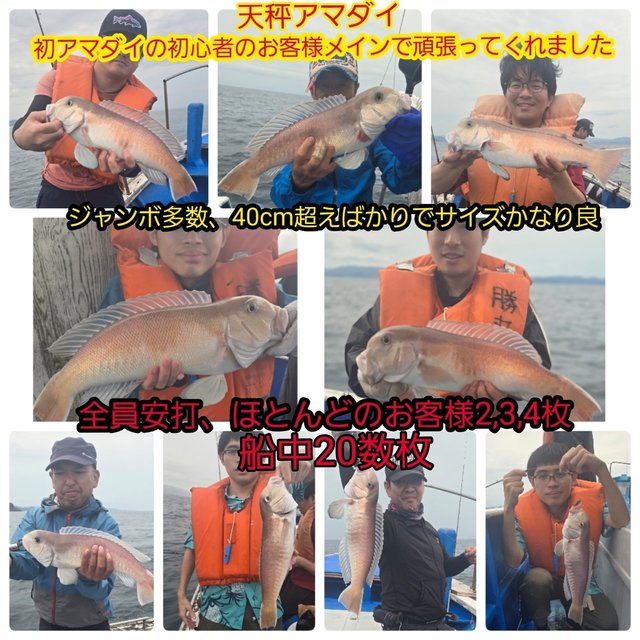 シロアマダイ