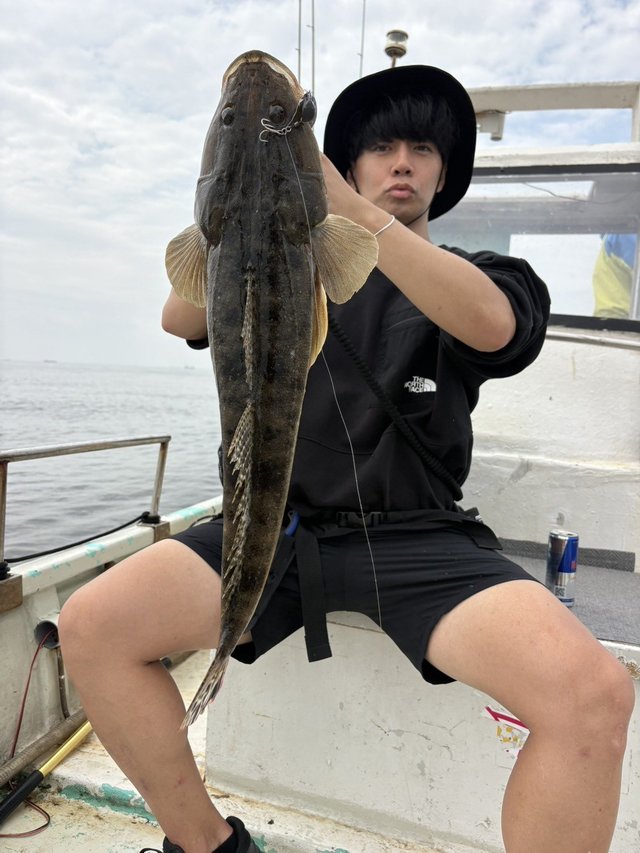 マゴチ
