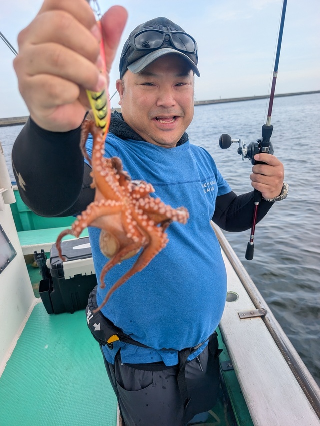 マダコ