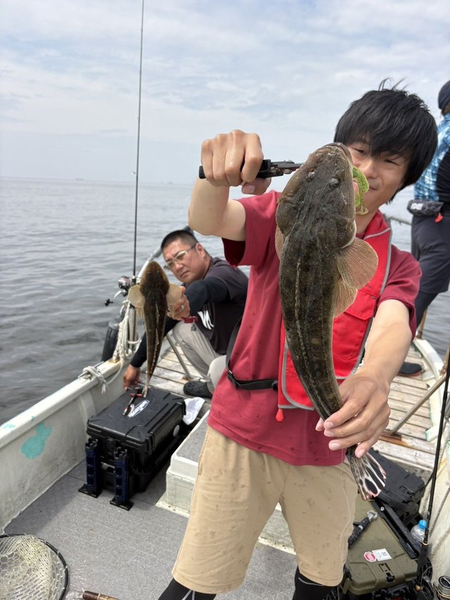 マゴチ