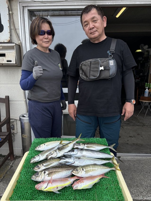 アジ(マアジ)