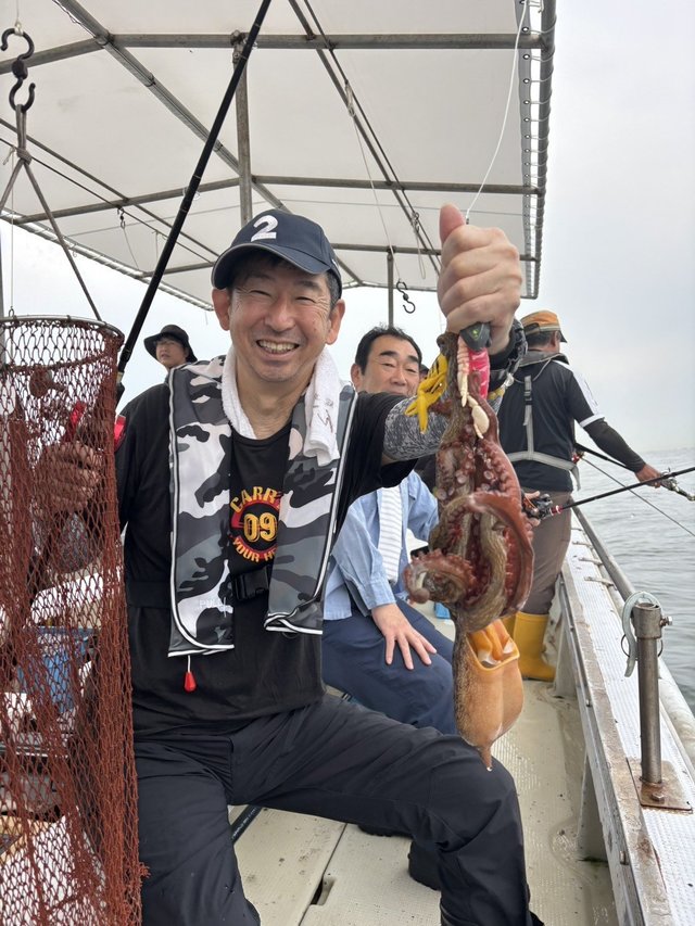 マダコ